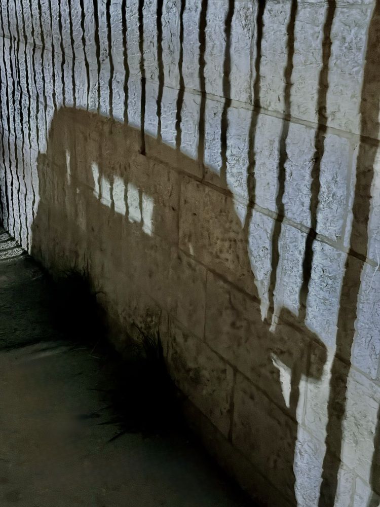 Photograph by Алла Киселева