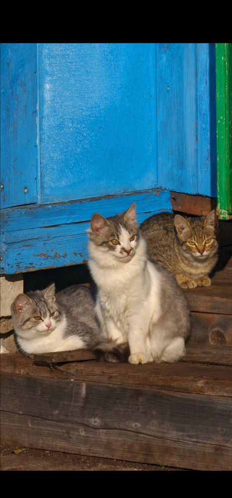 Photograph by Александр П