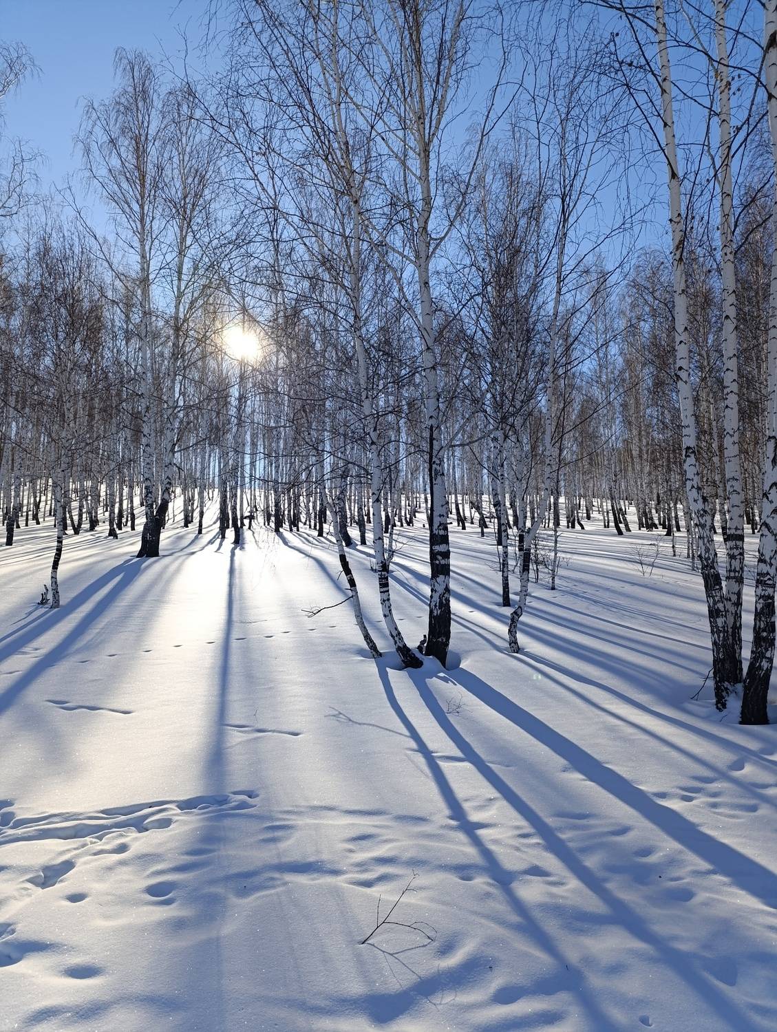 Photo #13153064