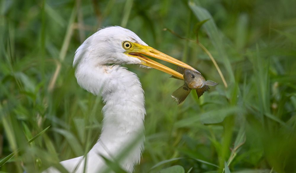 Фотография автора Pakalon Janakan