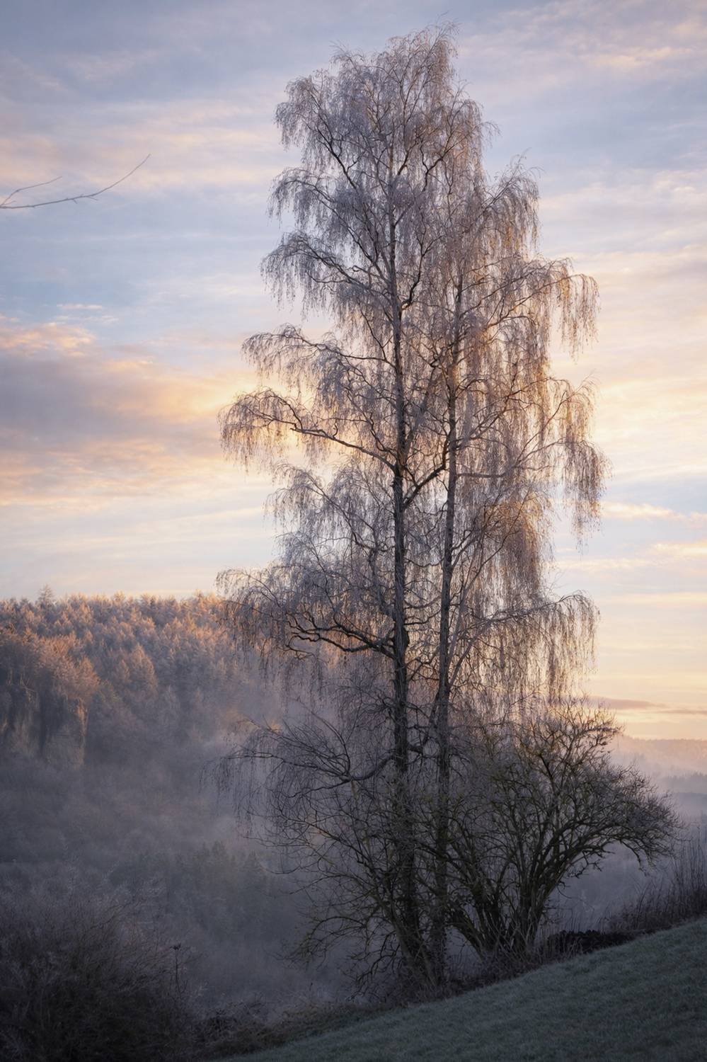 Фотография #13153104