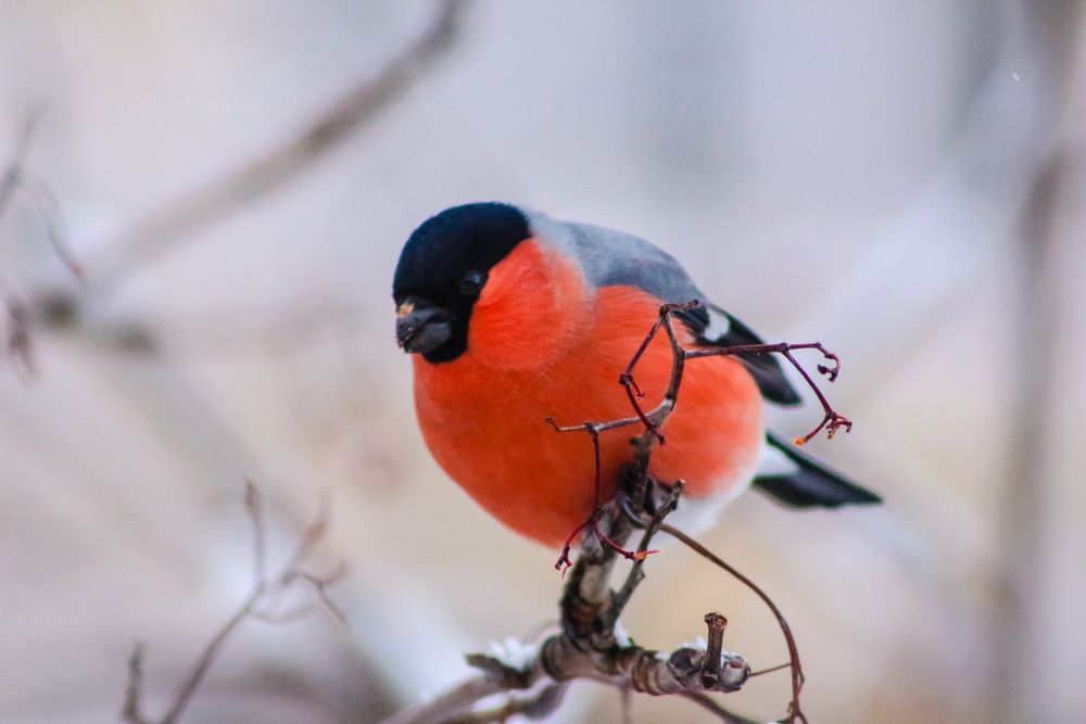 Photograph by Лилия Мархинина