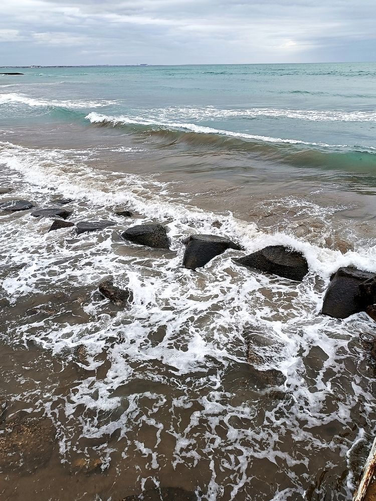 Photograph by Tanivsv