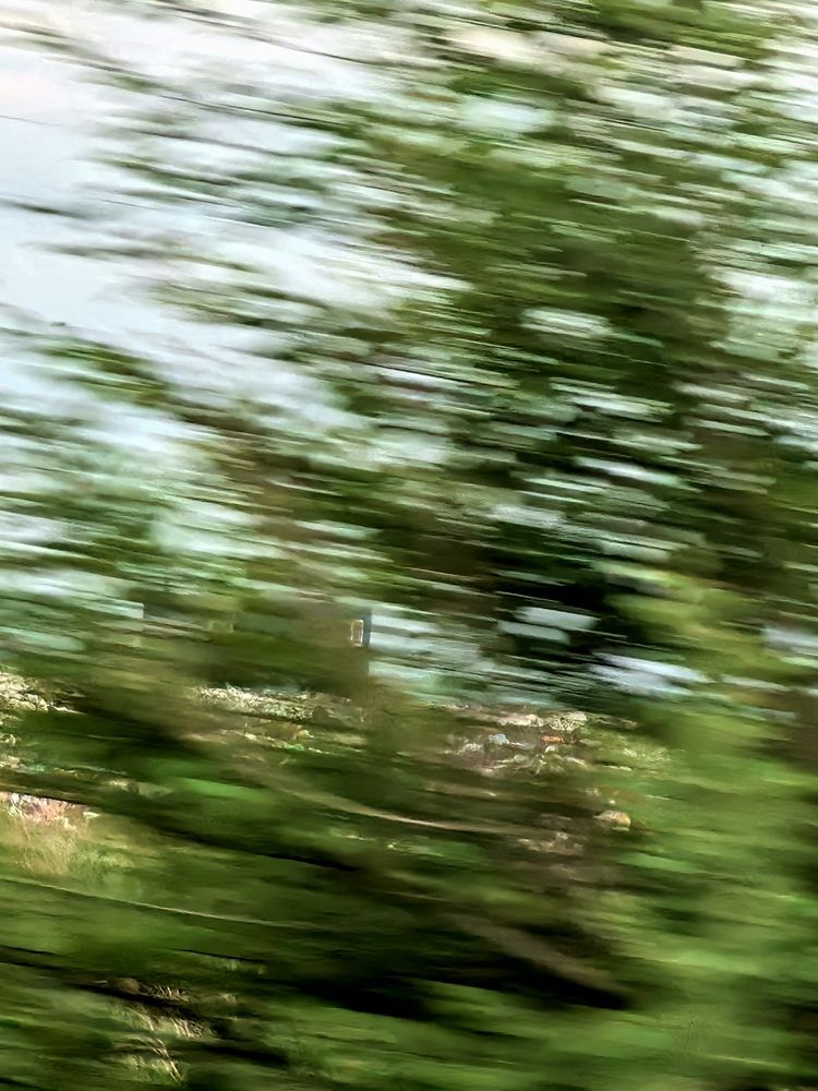 Photograph by Yulia Orina