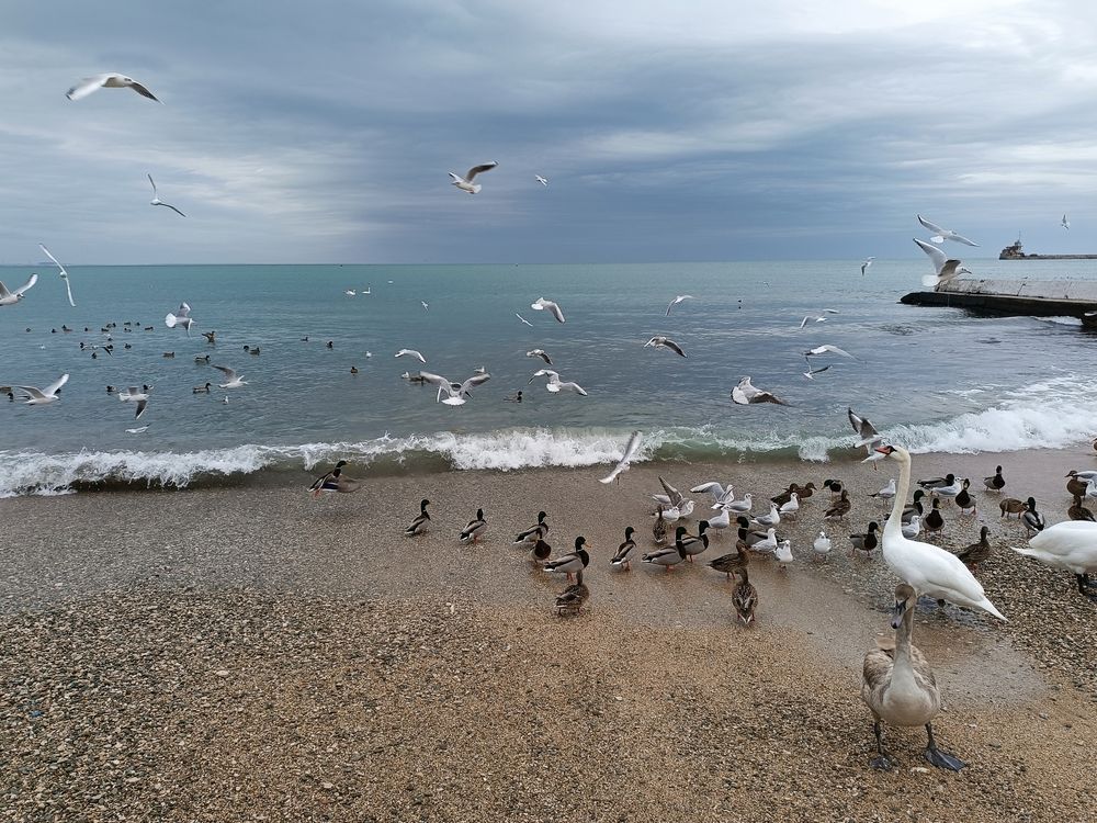 Photograph by Tanivsv