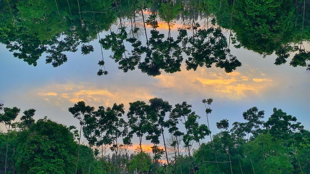 Фотография автора Washiful Majid