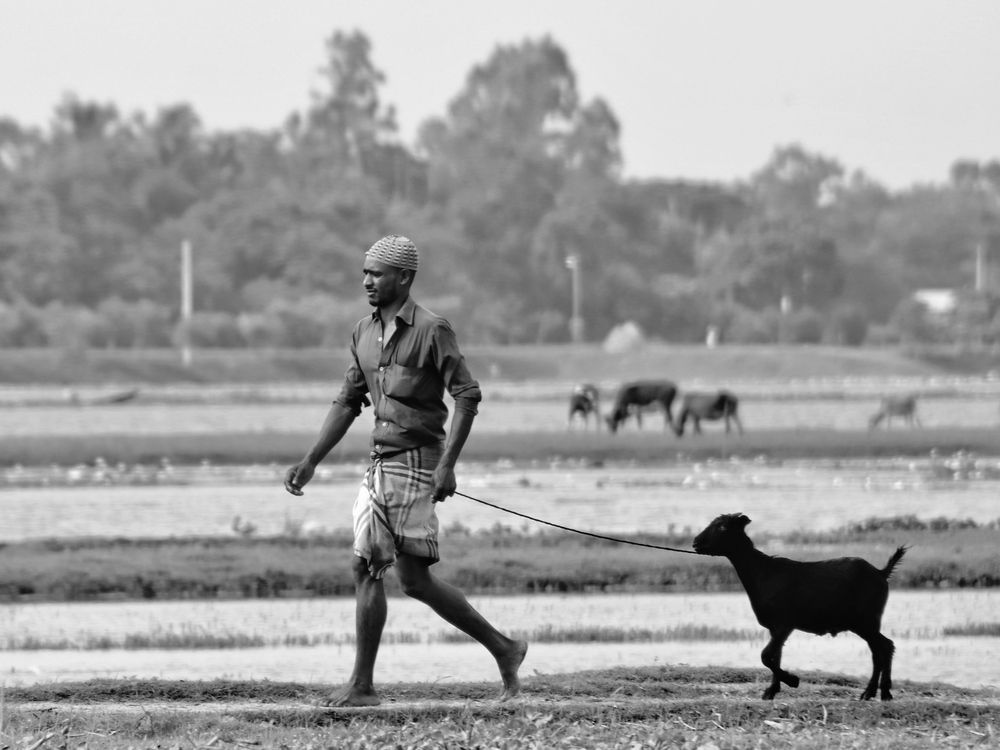 Photograph by Washiful Majid