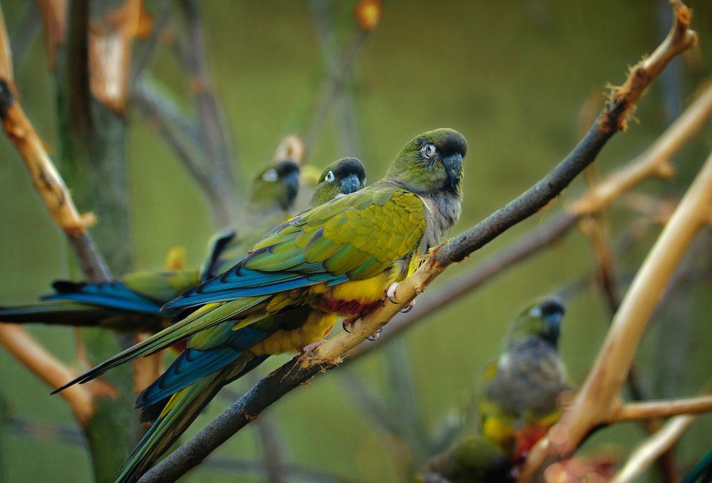 Photograph by Алексей Козлов