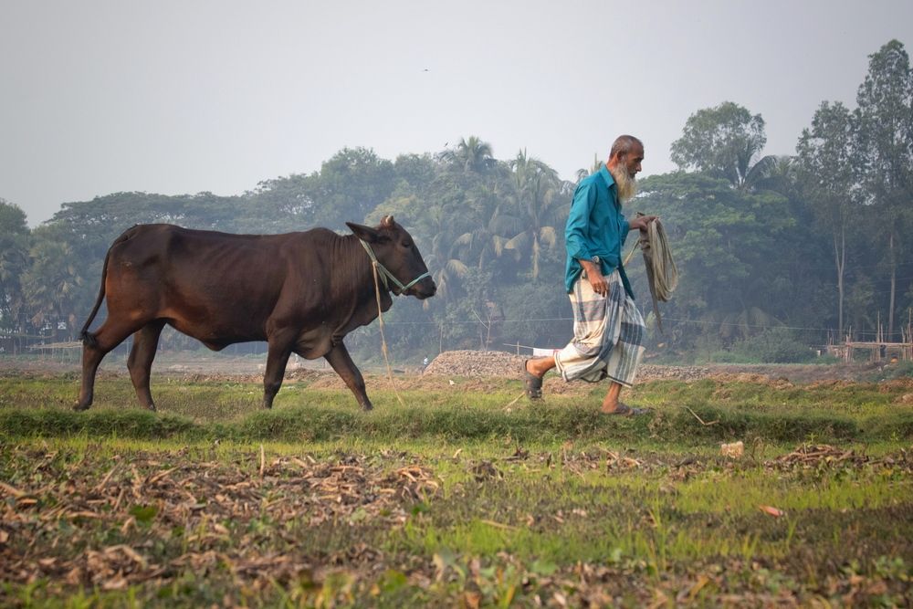 Photograph by Washiful Majid