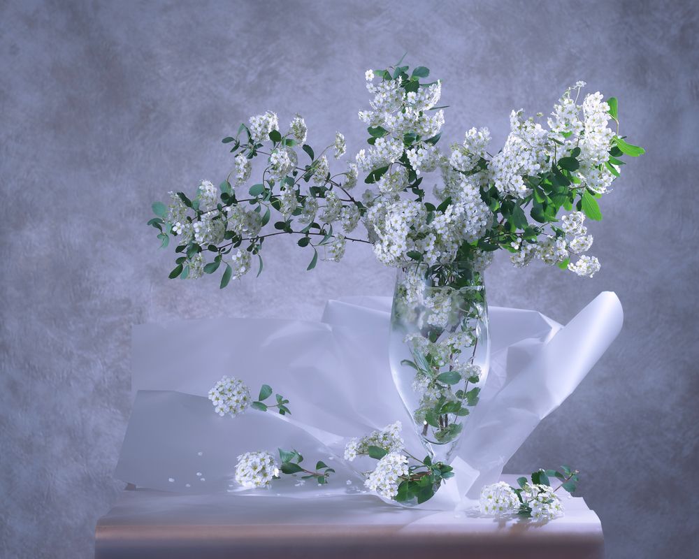 Photograph by Анжелика Королева