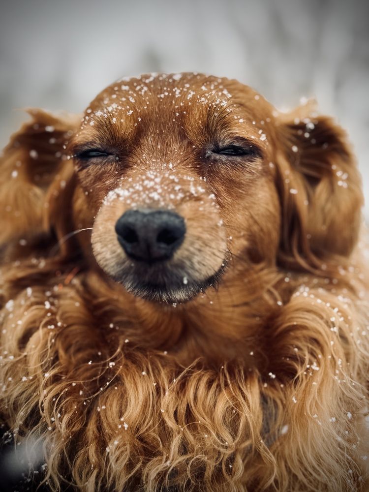 Photograph by Дарья Самойленко