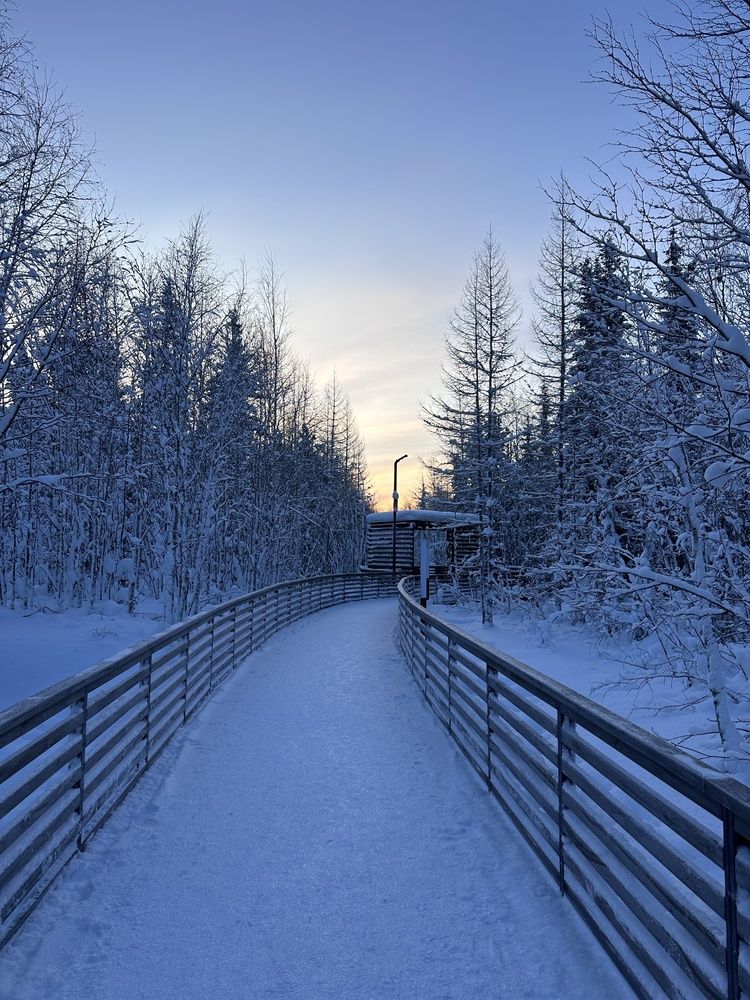 Photograph by Iuliia Govorunenko