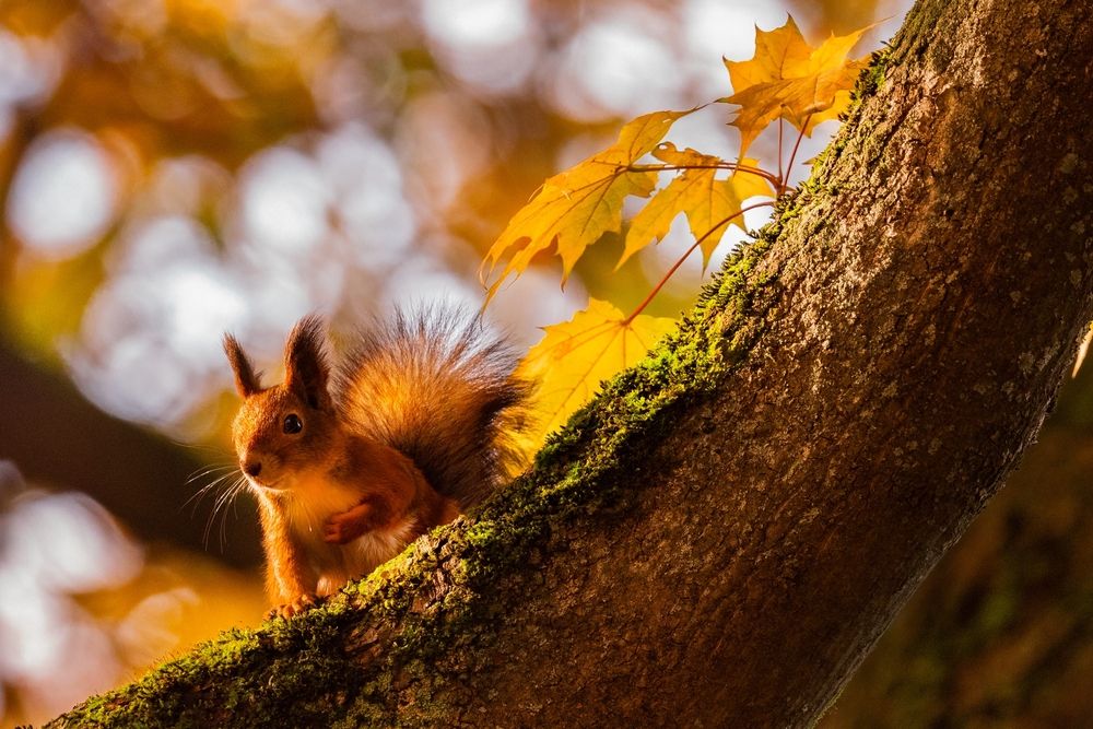 Photograph by Ксения Зайцева