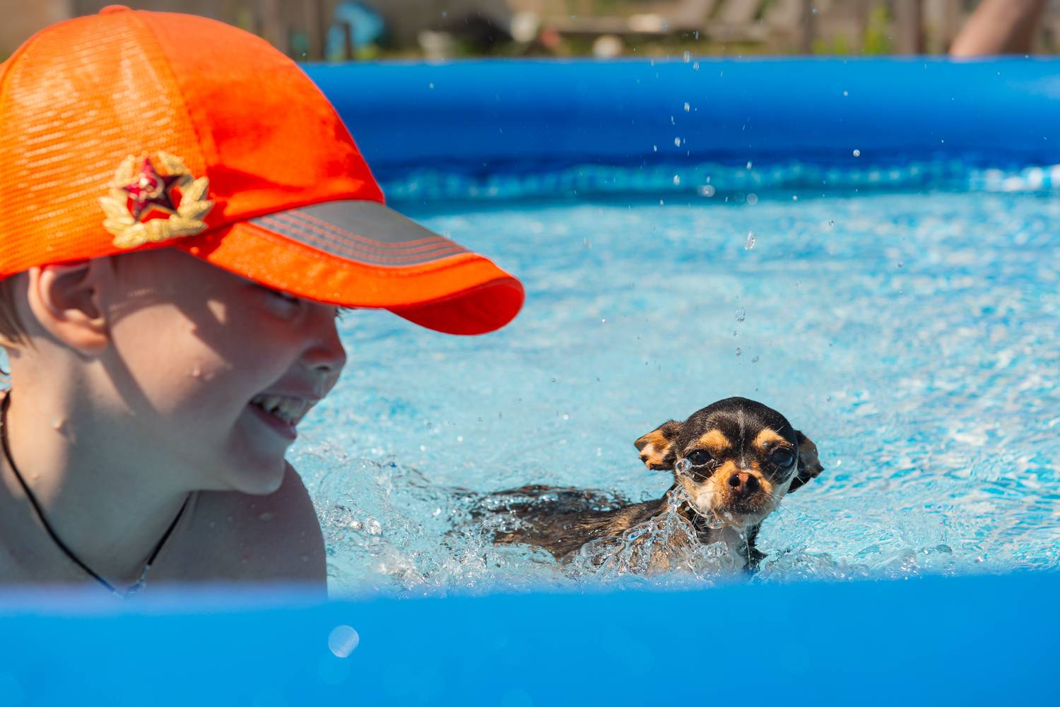 На волне дружбы: ребёнок и его верный пёс в бассейне