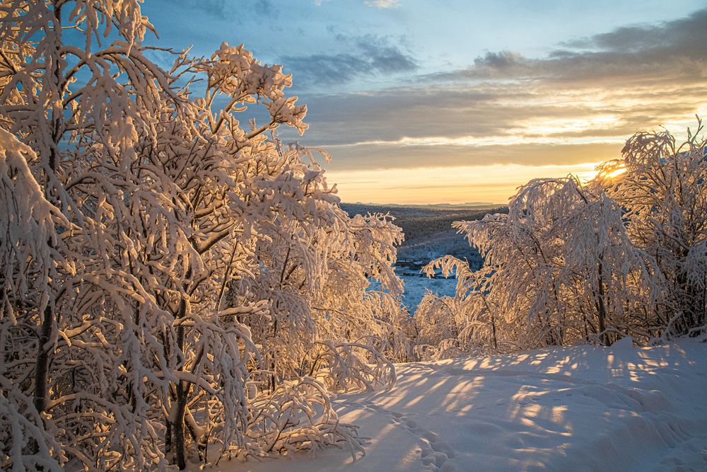 Photograph by Юрий Платухин