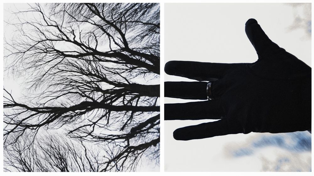 Photograph by Александра Вишлёва