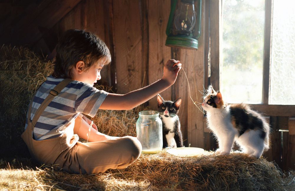 Photograph by Ирина Ефимова