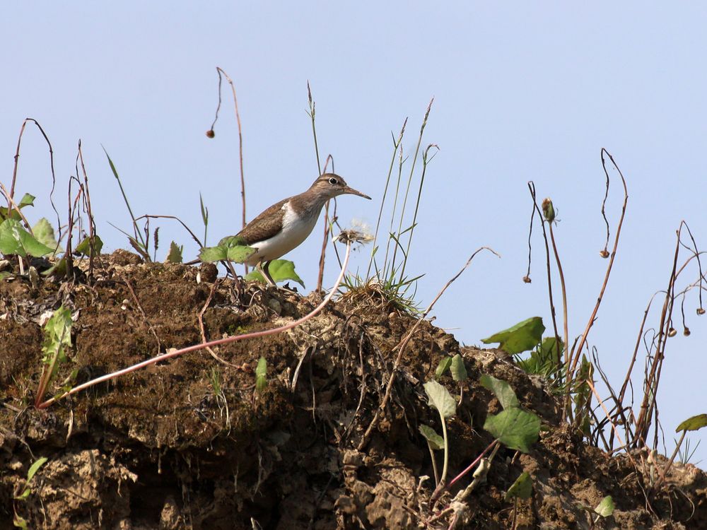 Photograph by Марианна Браун