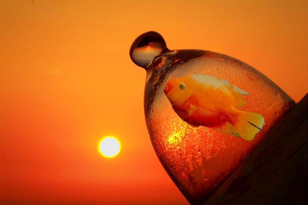 Photograph by Myrsini Charalampidou