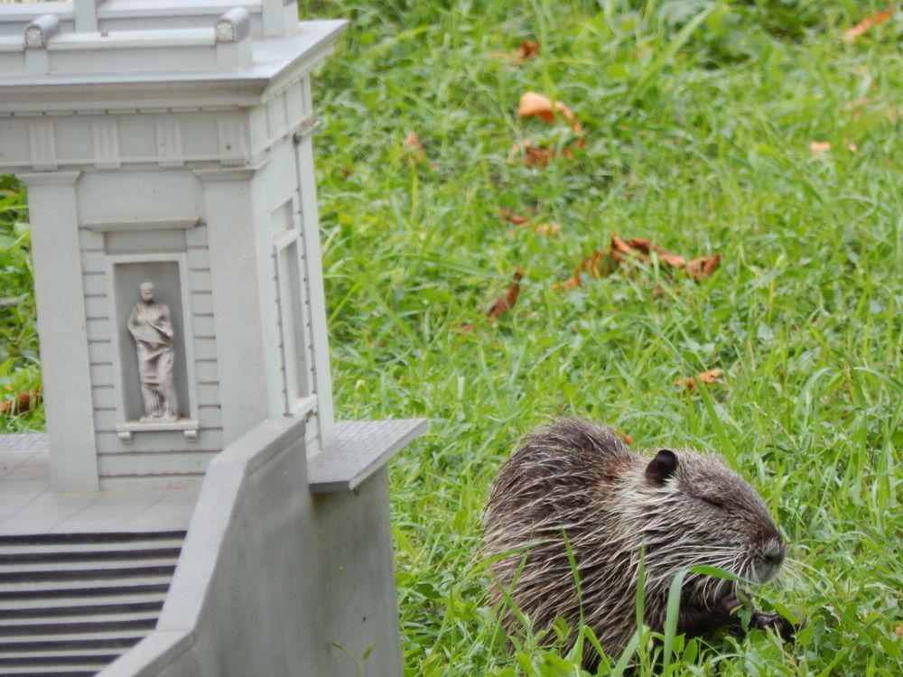 Photograph by Tanivsv