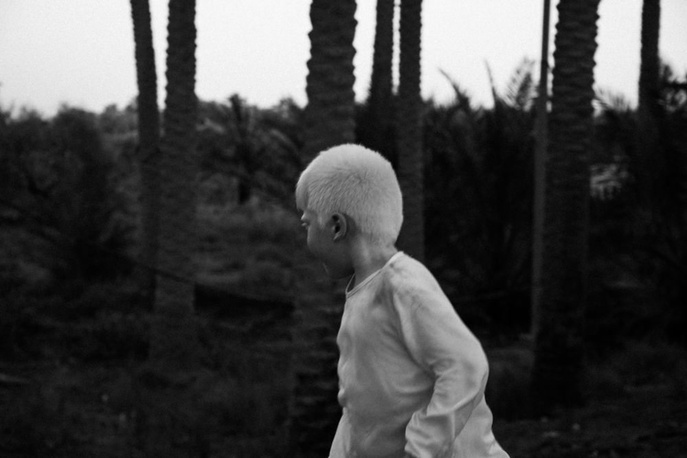 Photograph by alaa.alasadi