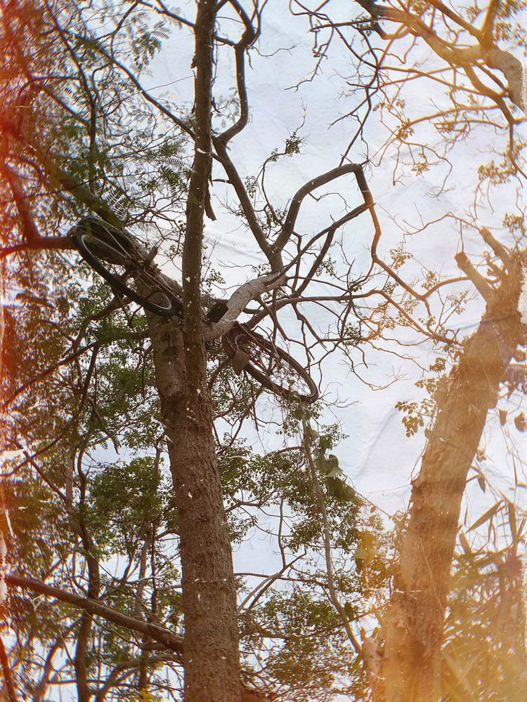 Да, ты сможешь!