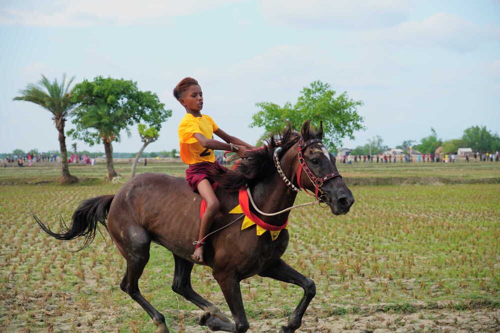 The Gallop of Tradition