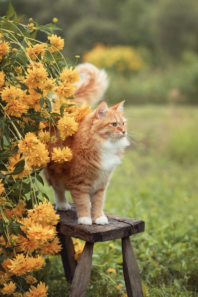 Photograph by Елена Косинова