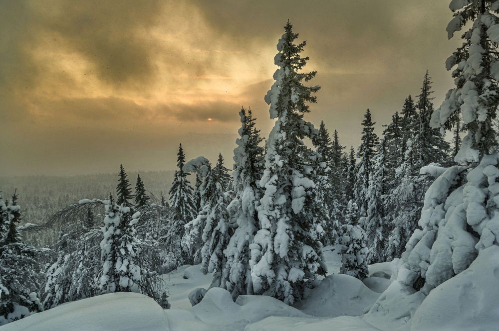Фотография автора Кирилл Аксенов
