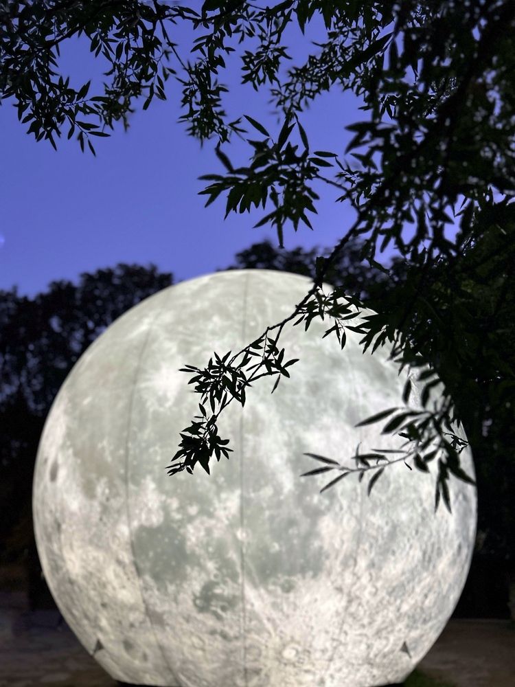 Photograph by Эльза Трисантович