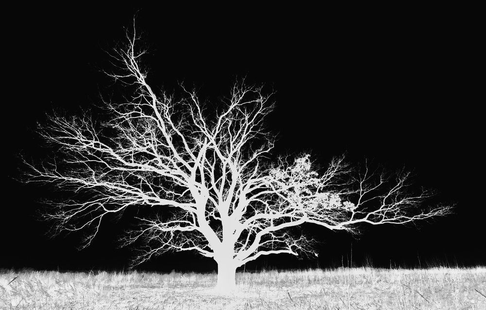 Photograph by Алексей Худяков