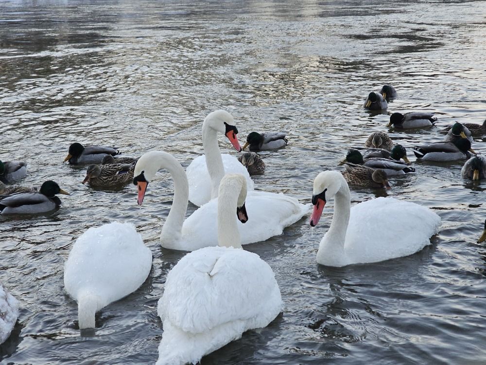 Photograph by Александр Петуховский