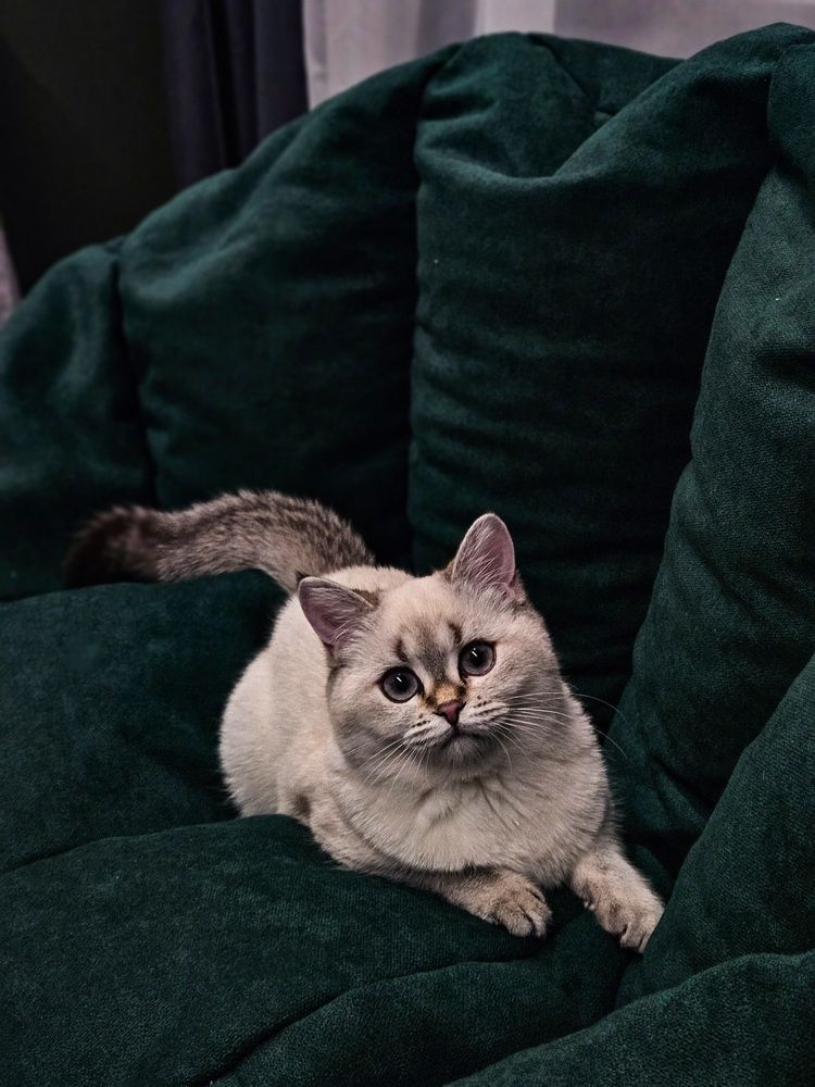 Photograph by Анастасия Еськова