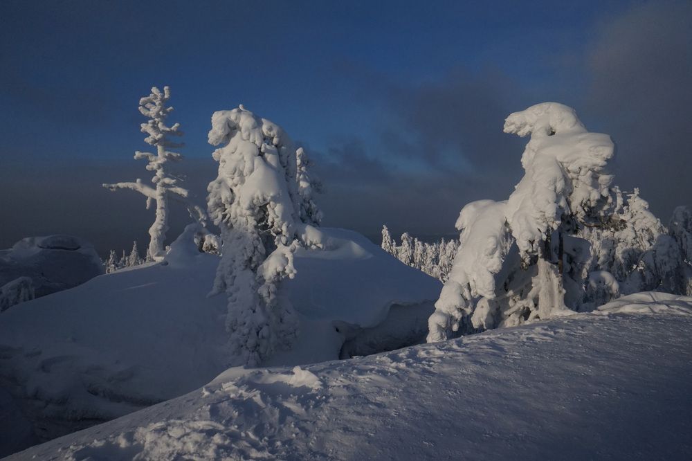 Photograph by Лена Максимкина