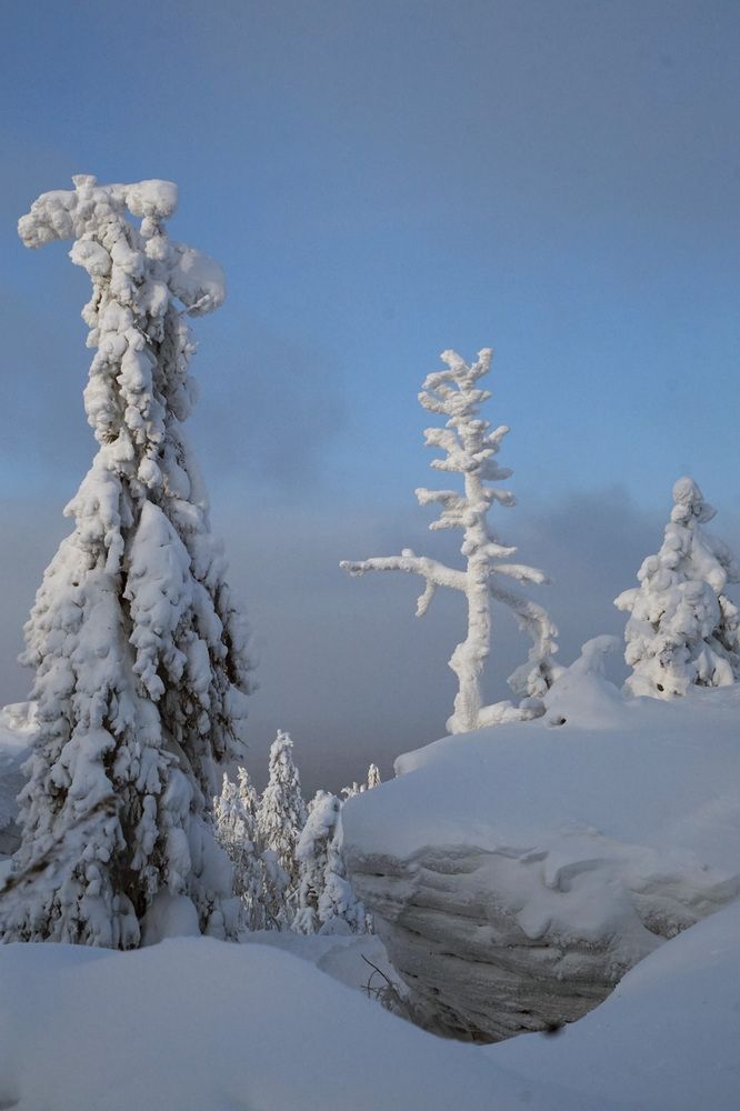 Photograph by Лена Максимкина