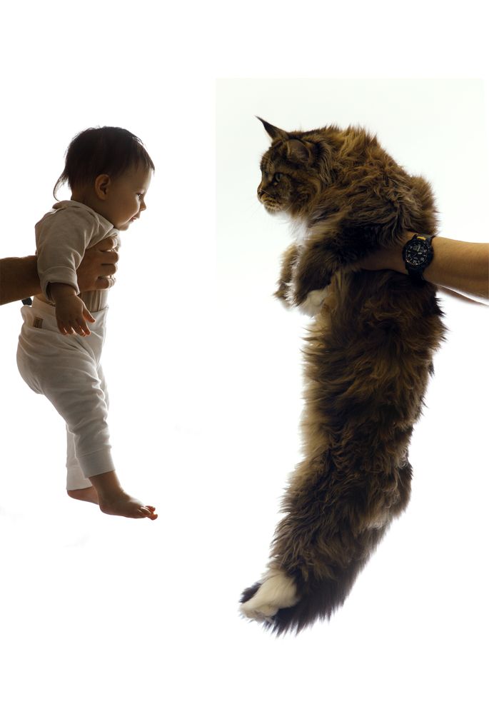 Photograph by Александра Алексеенко