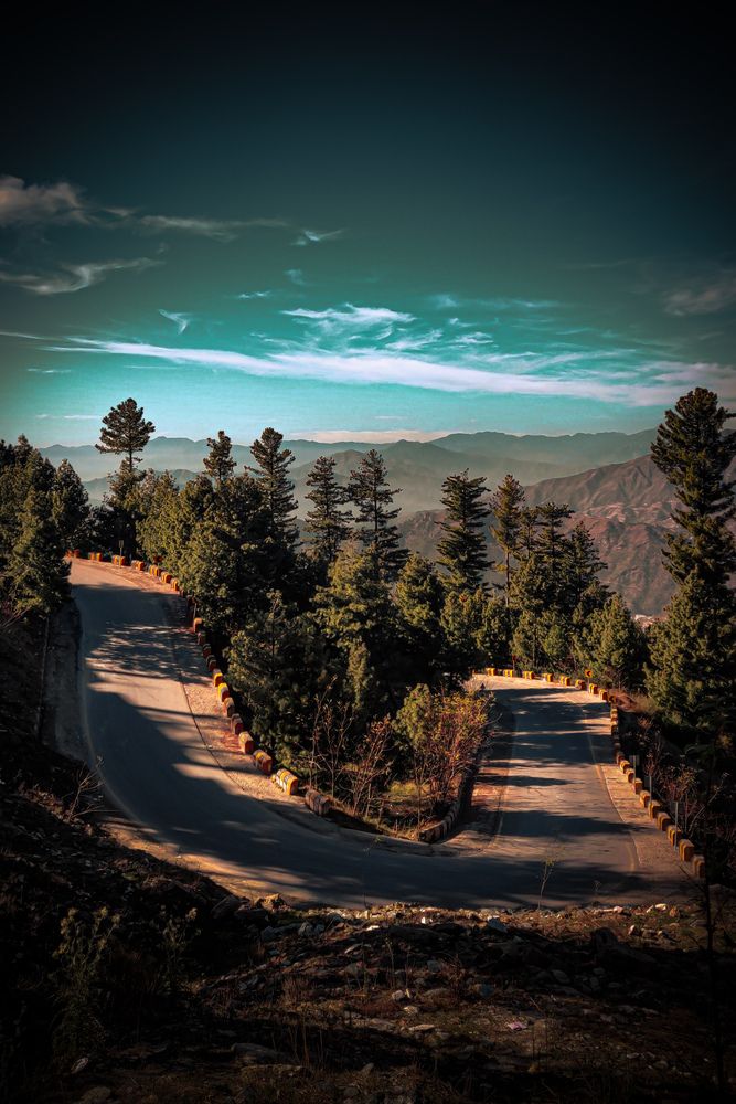 Photo #13153754