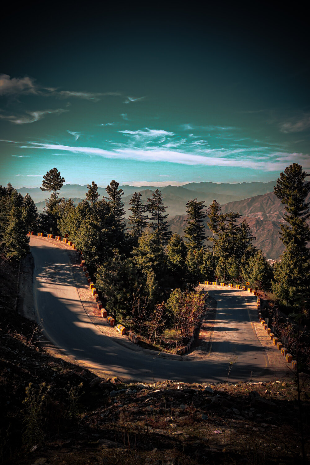 Photo #13153754