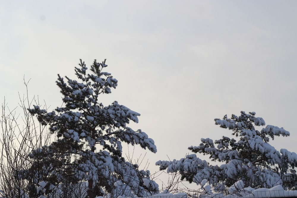 Photograph by Наталия