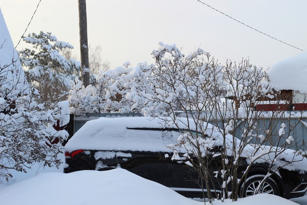 Photograph by Наталия