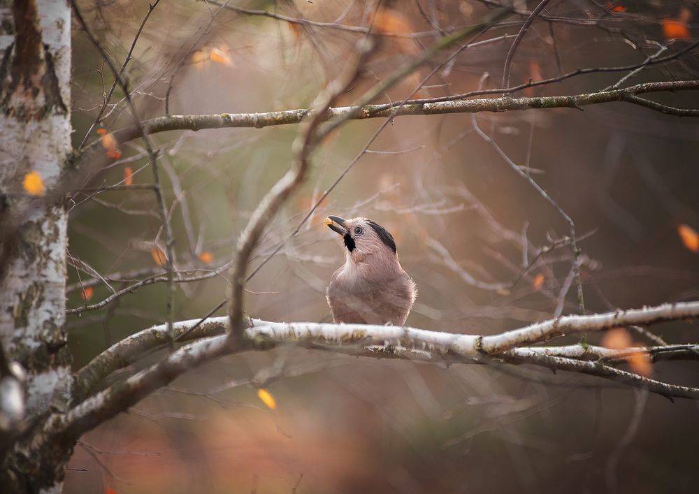 Photograph by Юлия Григорьева