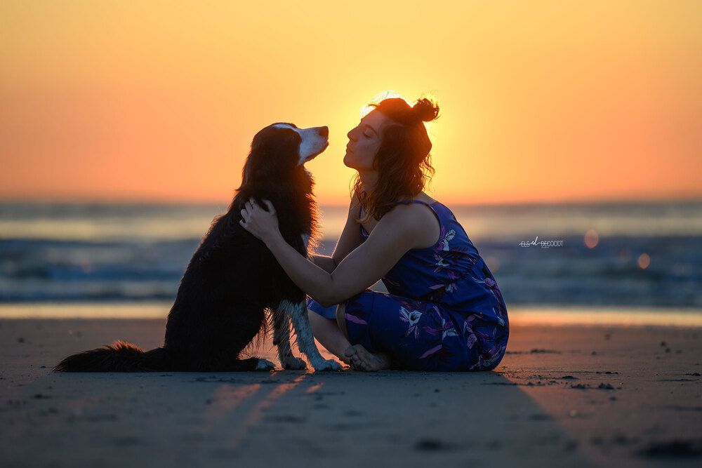 Photograph by Decoodt Els