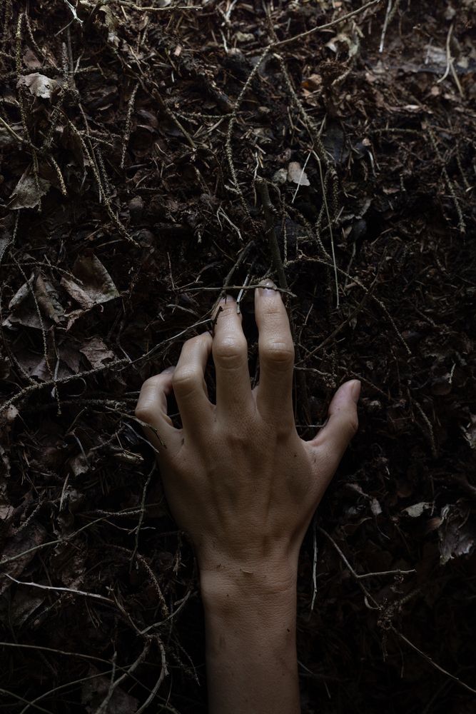 Photograph by Виктория Пиляева