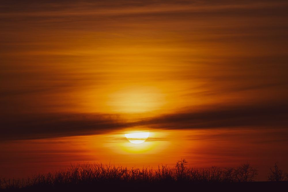 Photograph by Олег Алексеев