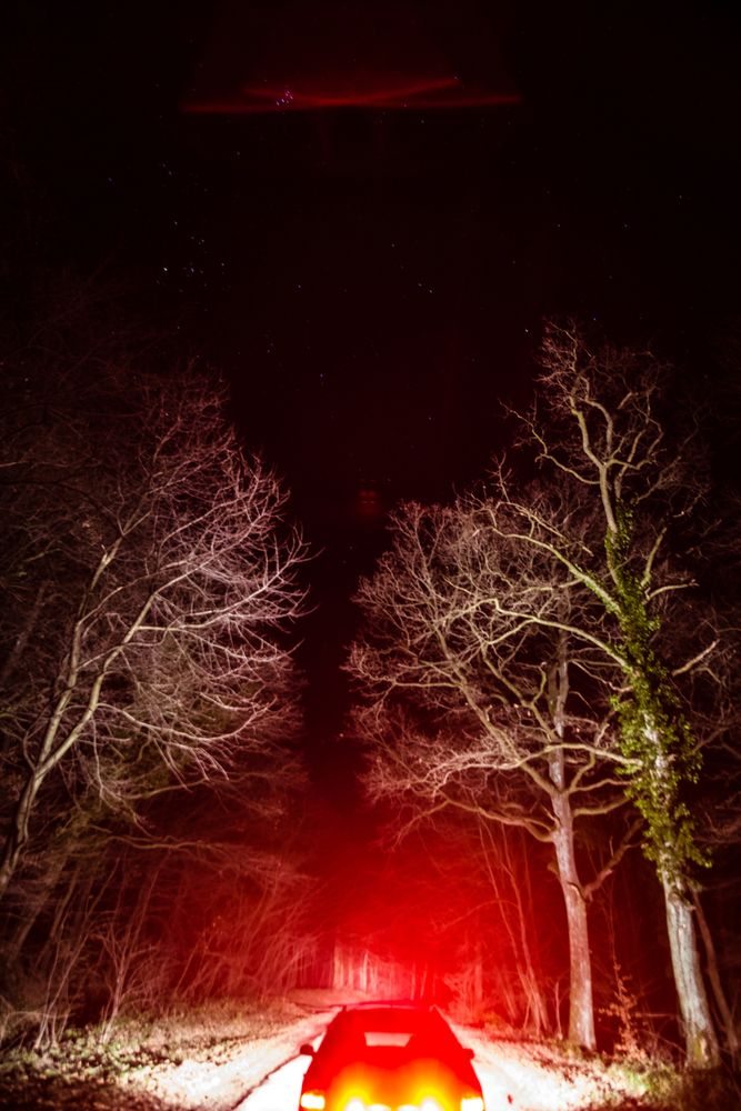 Photograph by Damir Omerović