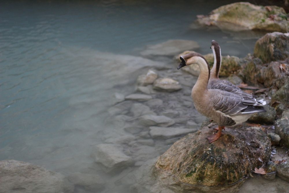 Photograph by Наталия