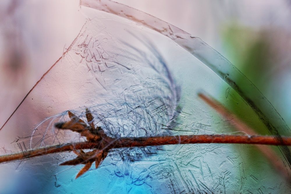 Photograph by Олег Алексеев