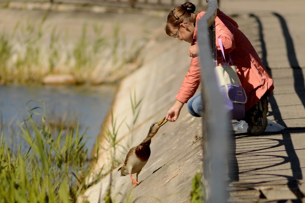 Photograph by Анна Зорька