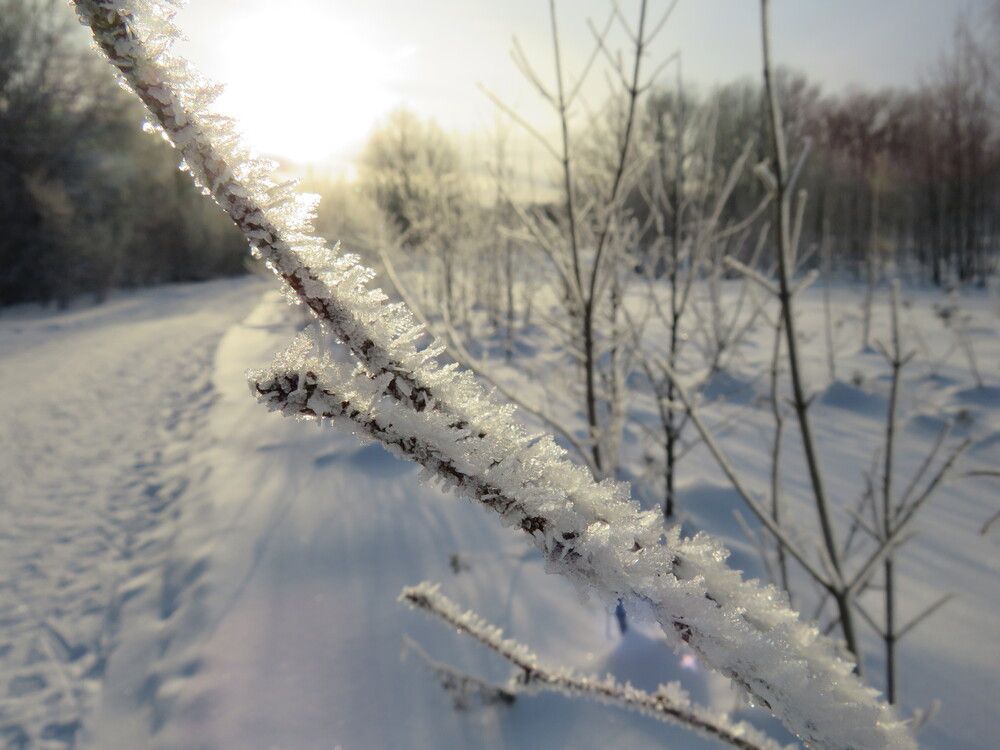 Photograph by Елена Кузина