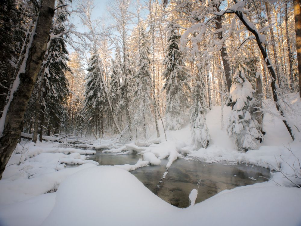 Photograph by Сергей Забиякин